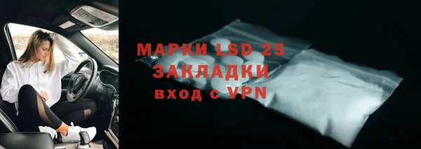 прущие грибы Богородск