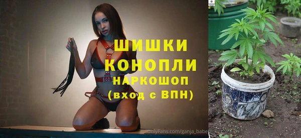 прущие грибы Богородск