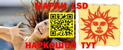 гидра Гатчина