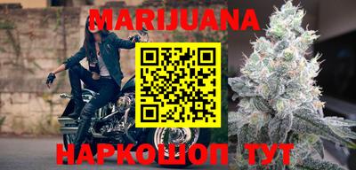 гидра Гатчина