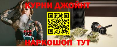 гидра Гатчина