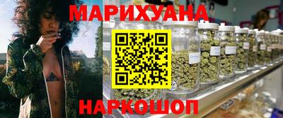 гидра Гатчина