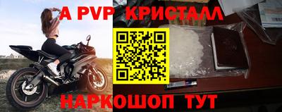 гидра Гатчина