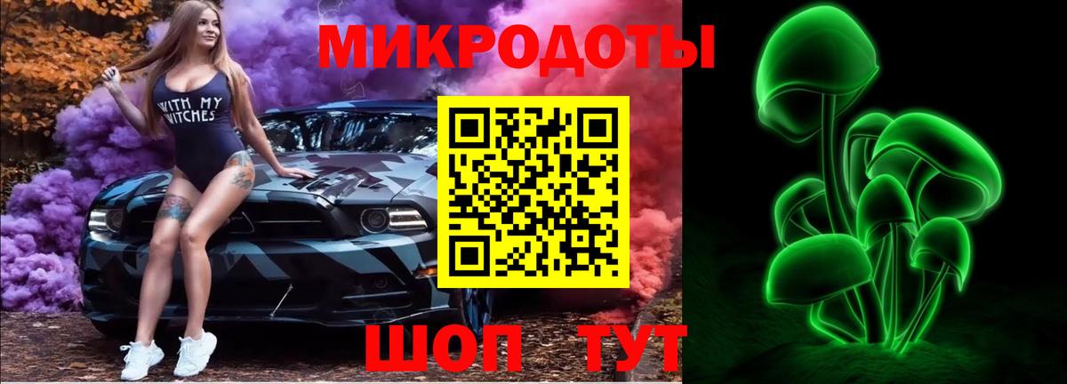 Галлюциногенные грибы Psilocybine cubensis Наро-Фоминск