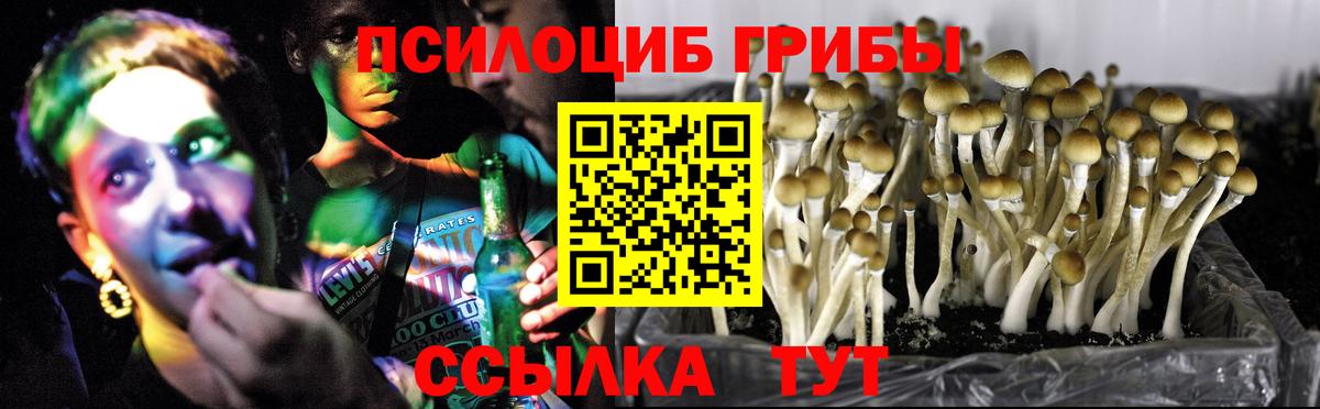 Псилоцибиновые грибы GOLDEN TEACHER  Вход с VPN  Наро-Фоминск 